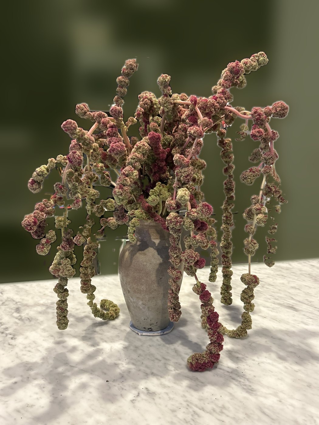 Amaranth in a stoneware jug